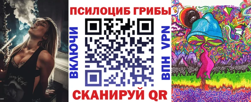 Псилоцибиновые грибы MAGIC MUSHROOMS  где купить   Новоаннинский 